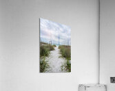 Destin White Sand Path To The Beach Acrylic Print
