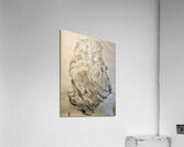 skulpture  Acrylic Print