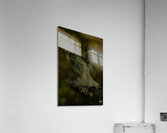 Southern Miss Golden Eagle Art Acrylic Print
