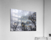 22CAE9C8 158D 40BC 91E0 1D69FD4D47D5 Acrylic Print