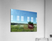D8D56DF9 79E7 4AFA 92D8 211F40EEC610 Acrylic Print