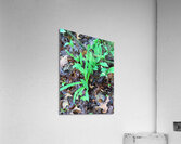 FDF2F0AA 1F1A 421A 82E3 3EAD1BFDD8F7 Acrylic Print