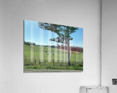 F6844E6B 44D3 4DC6 AE91 1EE844822C73 Acrylic Print