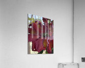 2DBE9E56 ADC6 4888 AEAF E65780A73798 Acrylic Print