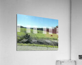 169A0E9D 3812 4488 BFAD FB7CE073A64B Acrylic Print