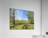E4B4880C 5AE7 405A 8465 F0669A39E5B7 Acrylic Print