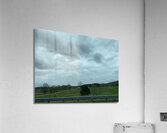 99D396EF 4619 4D99 B21A 7EC068623B1B Acrylic Print