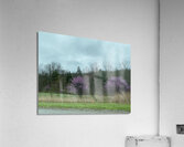 24960C0C AE0A 4248 A807 831F35B2B854 Acrylic Print