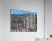 F53A80AD CCC0 40D4 B601 2ACC33CE10C3 Acrylic Print