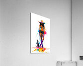 Pet Alligator Model 2 - Pets  Attention Acrylic Print