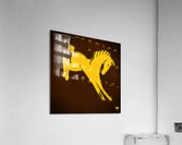 Vintage Wyoming Mascot Art Acrylic Print