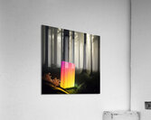 Glowing Forest 12 Acrylic Print