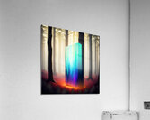 Glowing Forest 71 Acrylic Print