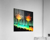 Glowing Forest 2 Acrylic Print