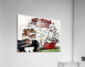 Georgia On My Mine by Phil Neel Acrylic Print