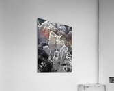 Warding Acrylic Print