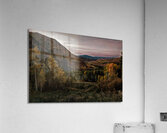 Aspen Glow in Snowmass Acrylic Print