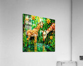 Giraffe Baby - Giraffe Centre Acrylic Print