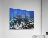 Pairs Acrylic Print