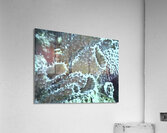 Protrudes Acrylic Print