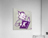Kansas State Wildcat Reading a Book Acrylic Print
