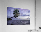 Lonley Acrylic Print