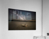 Lonely Grave Under the Milky Way Acrylic Print