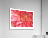 THE SIESTA Acrylic Print