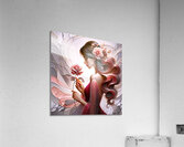 Rose Reflections  Acrylic Print