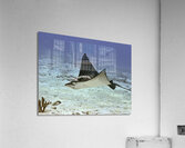 Daytime Acrylic Print