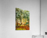 retreat light Acrylic Print