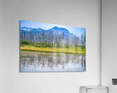 Waterton Lakes Trees Acrylic Print