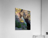 Maligne Canyon Portal Acrylic Print