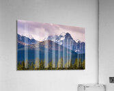 Banff Larches Acrylic Print