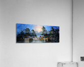 WINDBLOWN PINES P Acrylic Print
