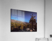 Eldorado National Forest Acrylic Print