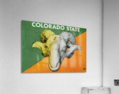 Vintage Colorado State Ram Art Acrylic Print
