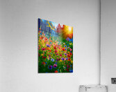 Summer Fields Acrylic Print