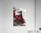 Chinese Chaos 2 Acrylic Print