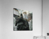 Western Vultures 2 Acrylic Print