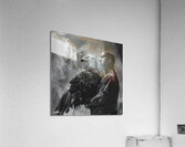 Western Vultures 3 Acrylic Print
