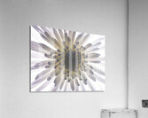Chrysanthemums Acrylic Print
