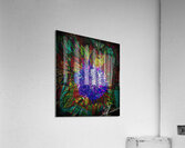 NGC 604 Acrylic Print