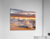 Murex Seashell Sunset Acrylic Print