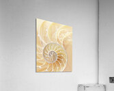 Beach Time Vertical Acrylic Print