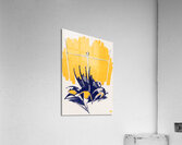 Vintage Field Goal Acrylic Print