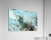 Upward Acrylic Print