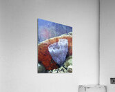 Backdrop Acrylic Print