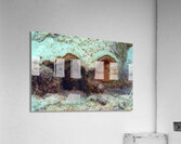 Conch Acrylic Print