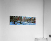 WINTER ROAD P Acrylic Print